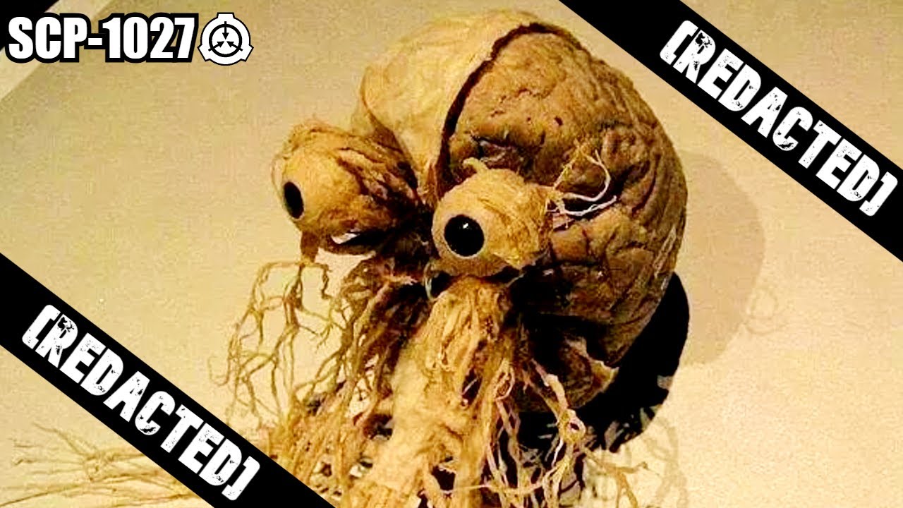 SCP-1027 Плотоядная центральная нервная система &ndash; Ужас живого мозга | Расшифровка SCP
