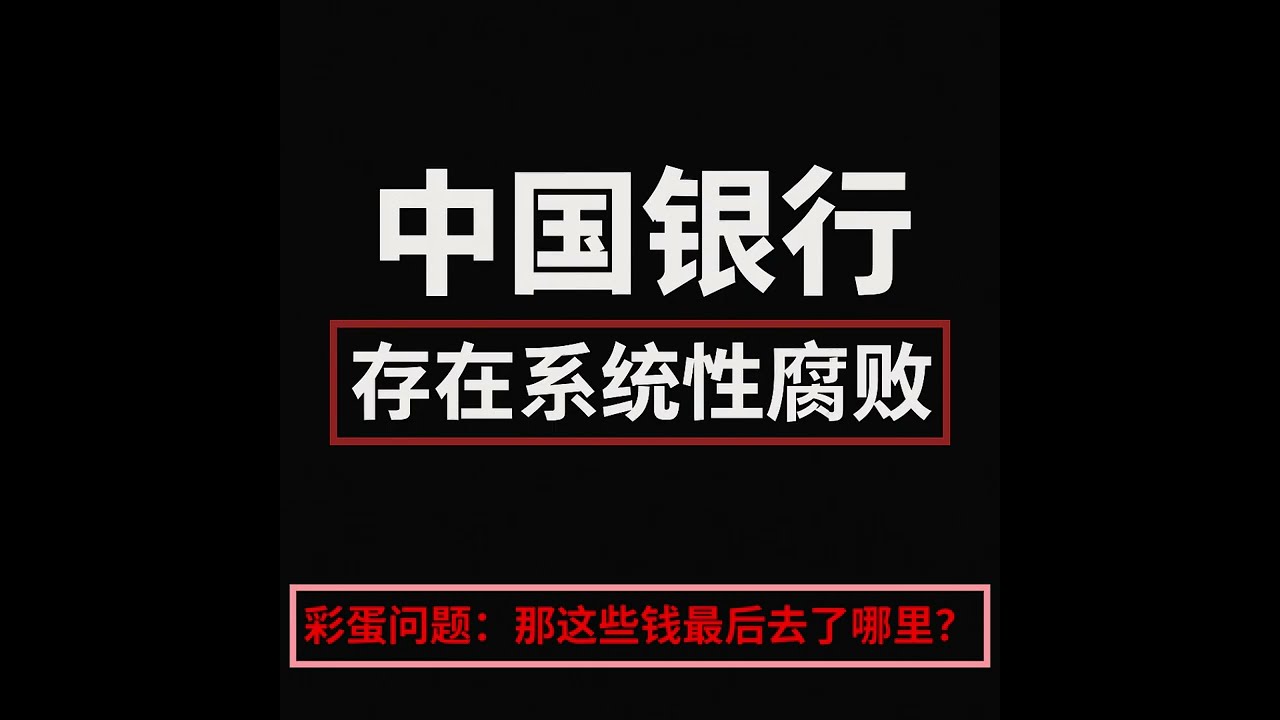《中国银行行长贪污指南》