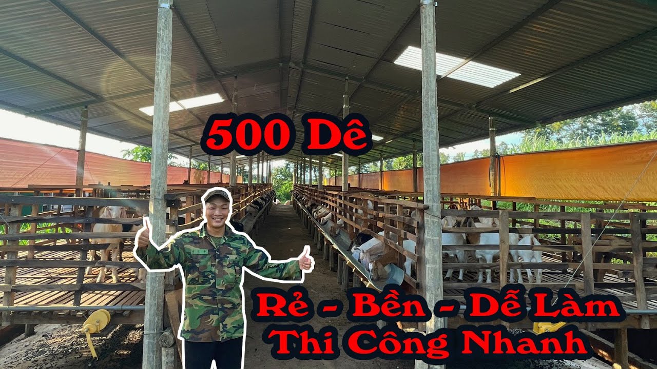 Hướng Dẫn Làm Chuồng Dê Mới Nhất Năm 2022