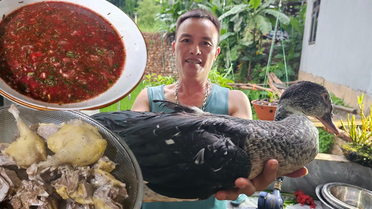 Thit ngan tơ/Anh 1985 Vlogs