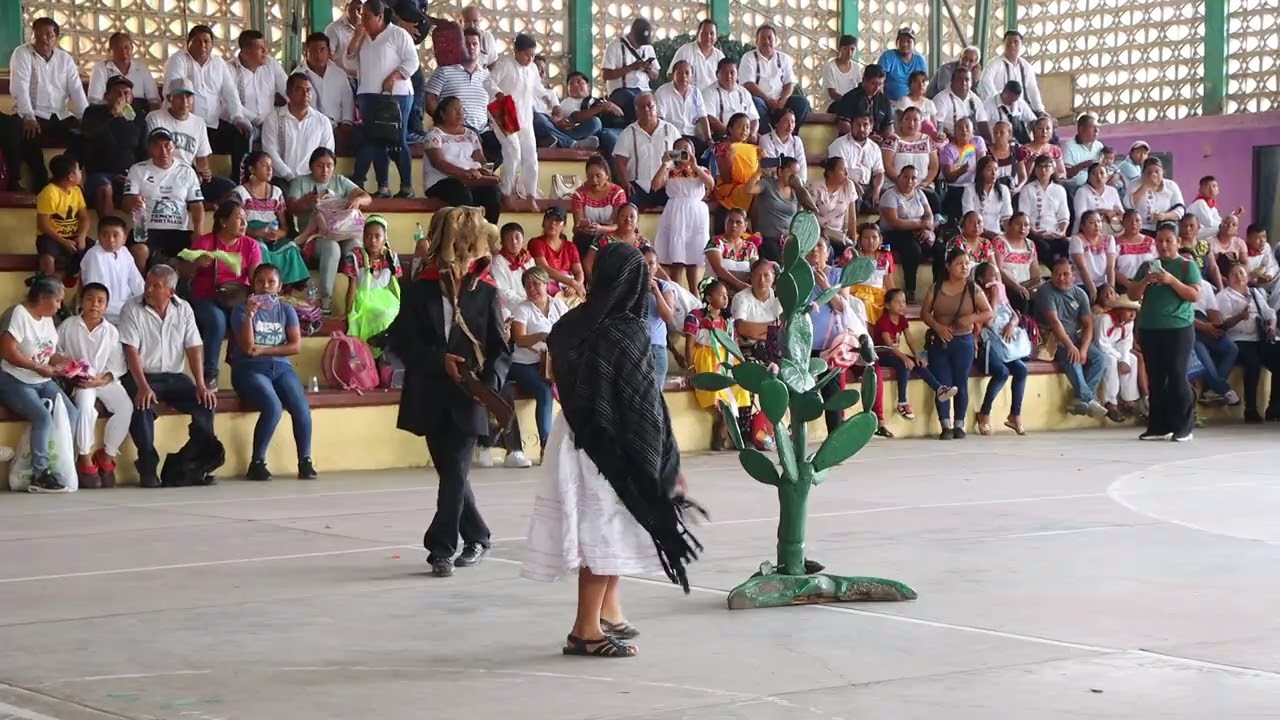 Danza de Papatlatla Calnali Hidalgo | Martín Gabino C
