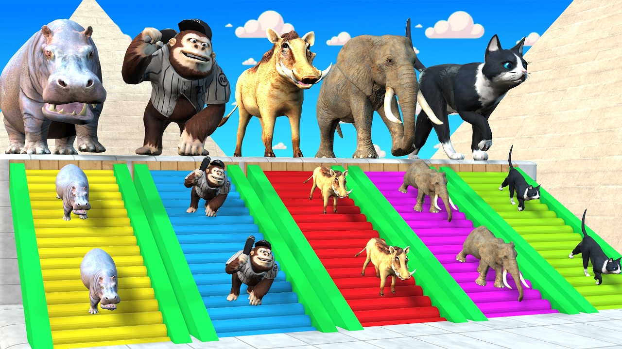 Long Slide Game With Cow Elephant Gorilla Hippopotamus Tiger 3d Animal Game Funny 3d Animals