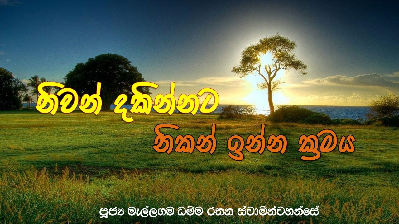 නිවන් දකින්නට නිකන් ඉන්න ක්‍රමය.