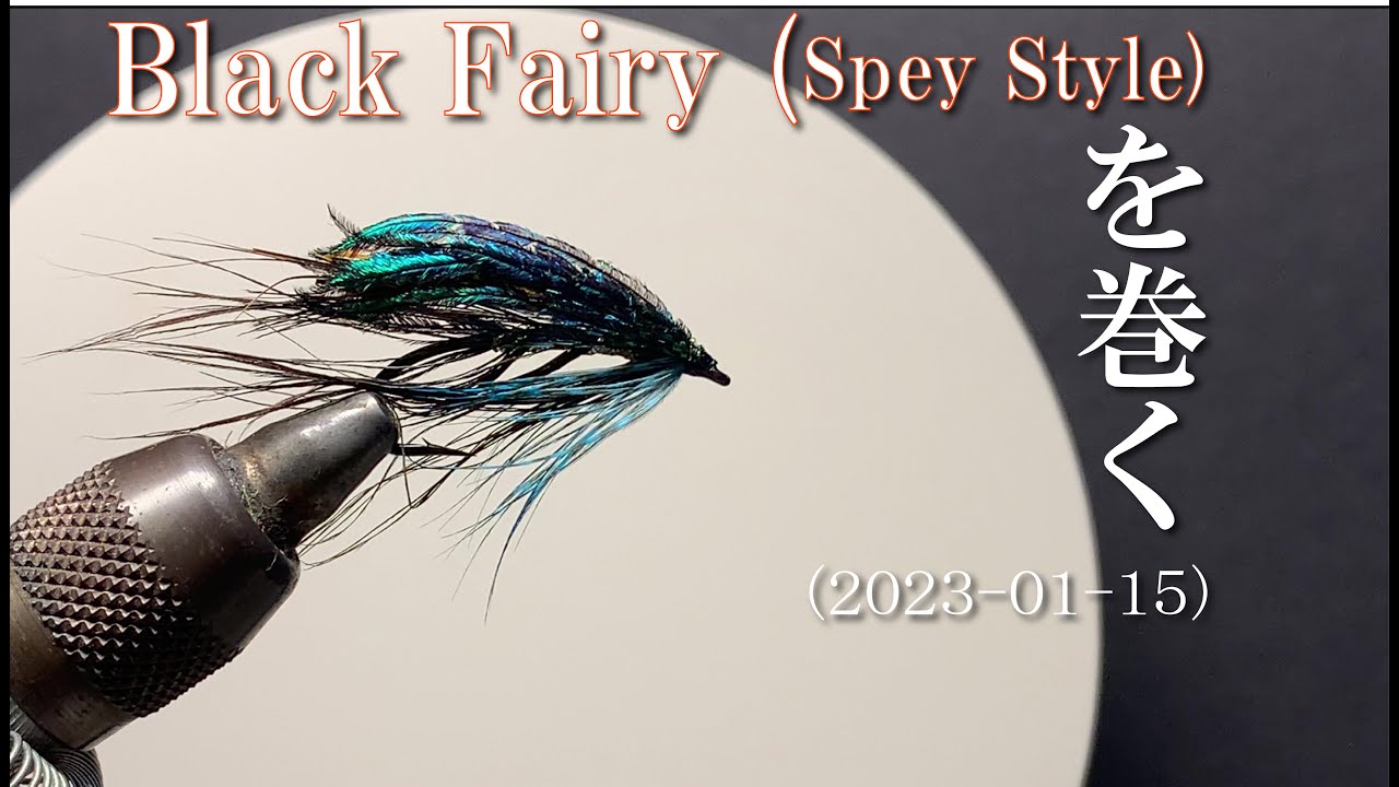 Black Fairy (Spey Style)を巻く