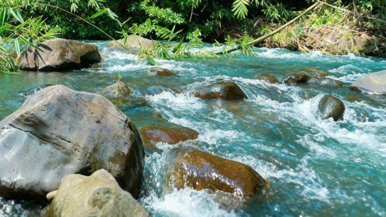 GENTLE WATER FLOW IN TROPICAL FOREST – SOOTHING RIVER ASMR FOR SLEEP & MIND RELAXATION