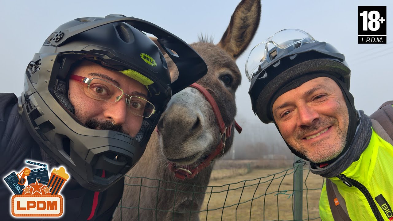 La Mulinobiancata dall'Area Camper di Melere BL