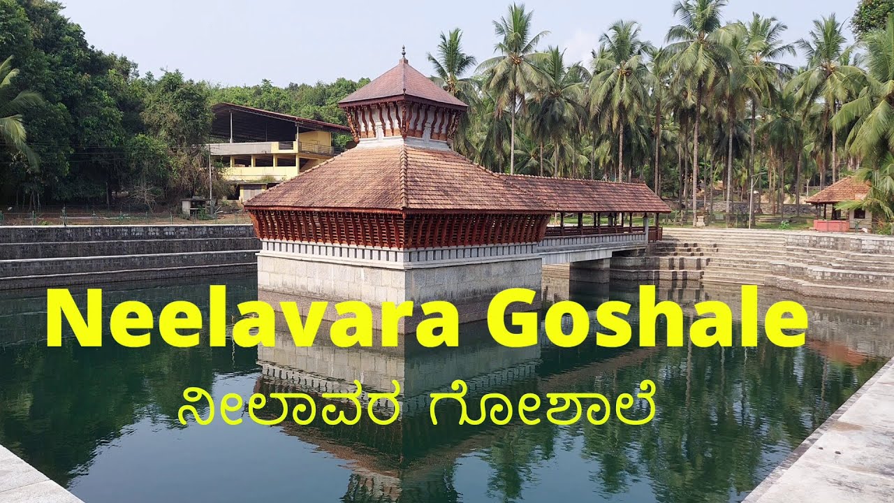 Neelavara Goshale I ನೀಲಾವರ ಗೋಶಾಲೆ  Udupi