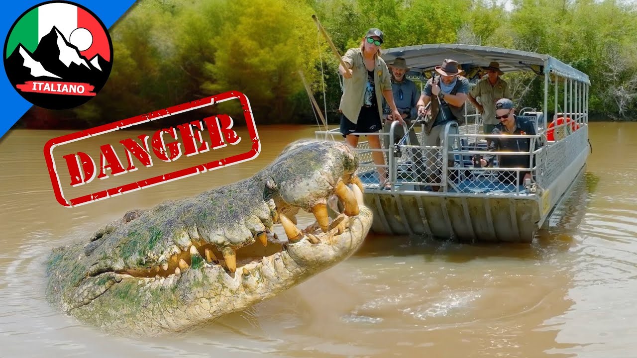 Coccodrillo Gigante TROVATO - Riusciresti a Nuotare Più Velocemente di Lui? Brave Wilderness