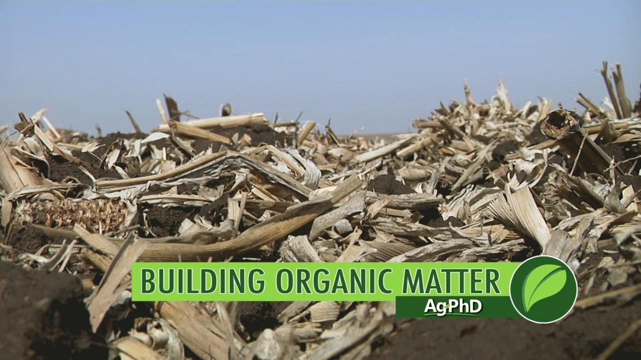 Building Organic Matter #1007 (дата выхода в эфир 23.07.17)