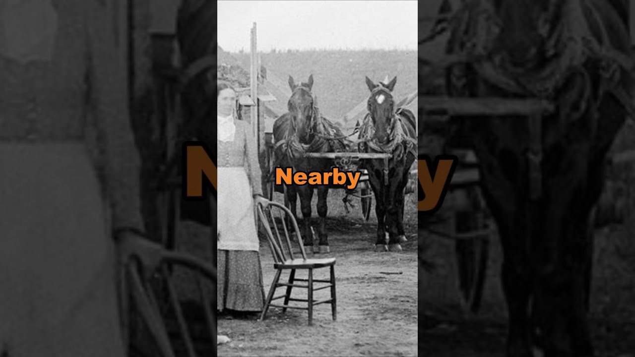 Love in the Wilderness A 19th century Couple's Cozy Abode#NebraskaGrassland #FrontierLife #CozyHome