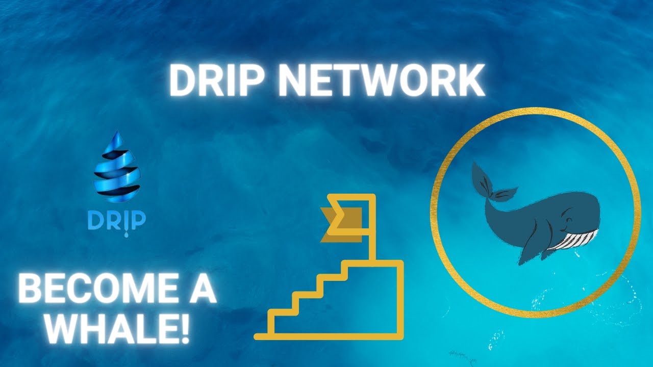 DRIP - Become a Whale