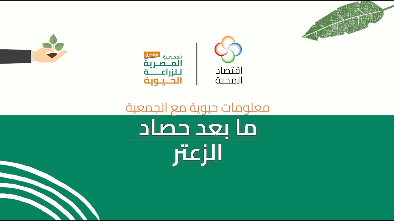 ما بعد حصاد الزعتر