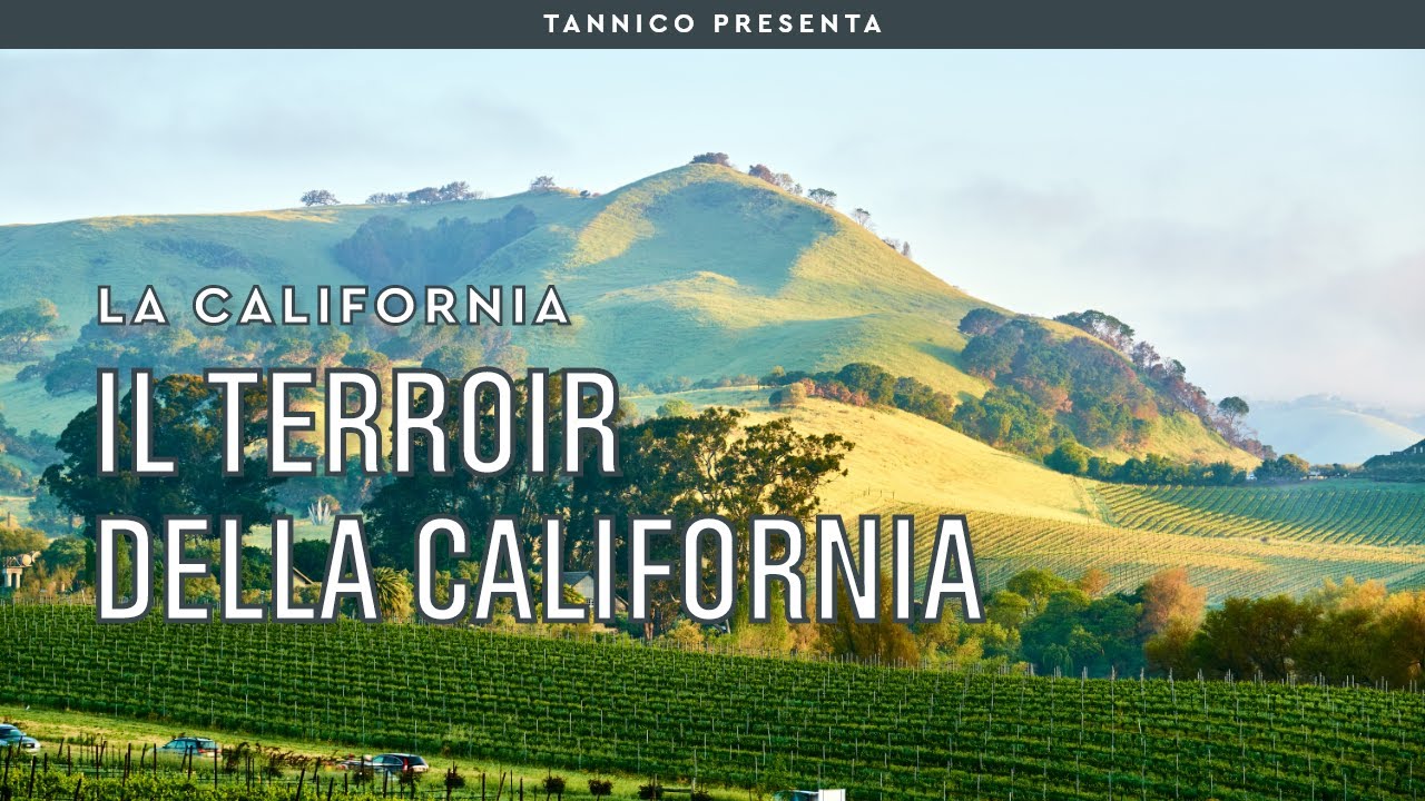 I vini californiani e il loro terroir | Tannico Flying School