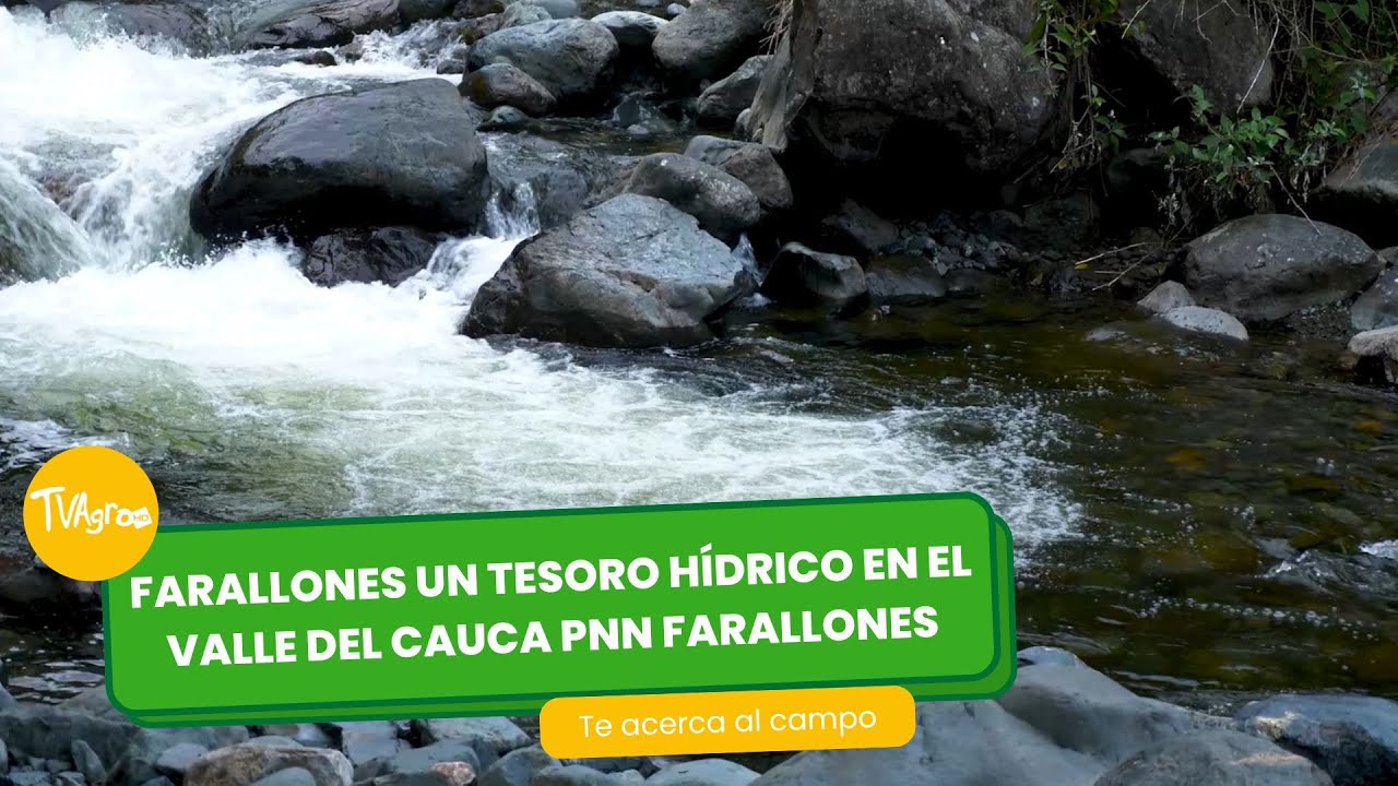 Farallones un tesoro Hídricos en el Valle del cauca PNN - TvAgro por Juan Gonzalo Angel Restrepo