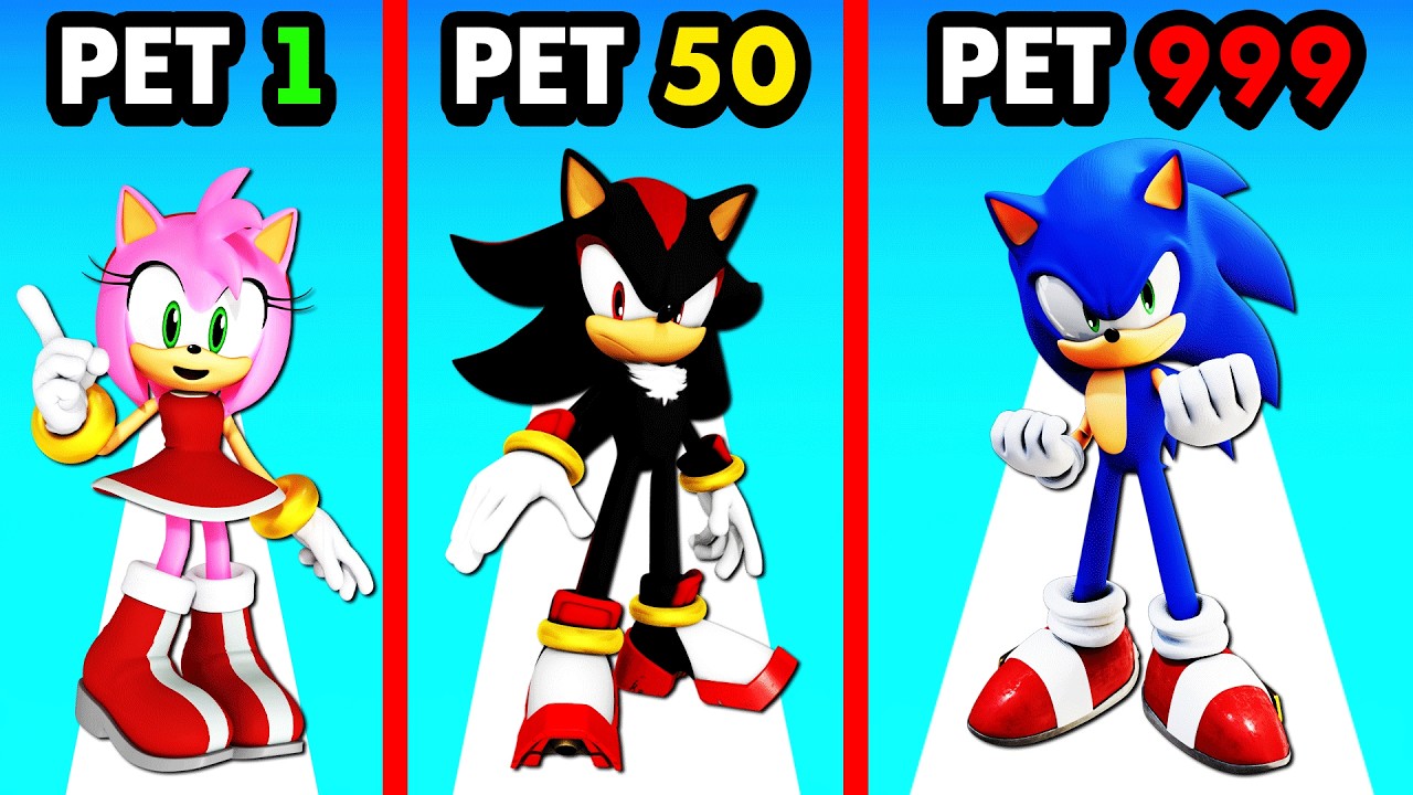 Upgrading My PET SONIC