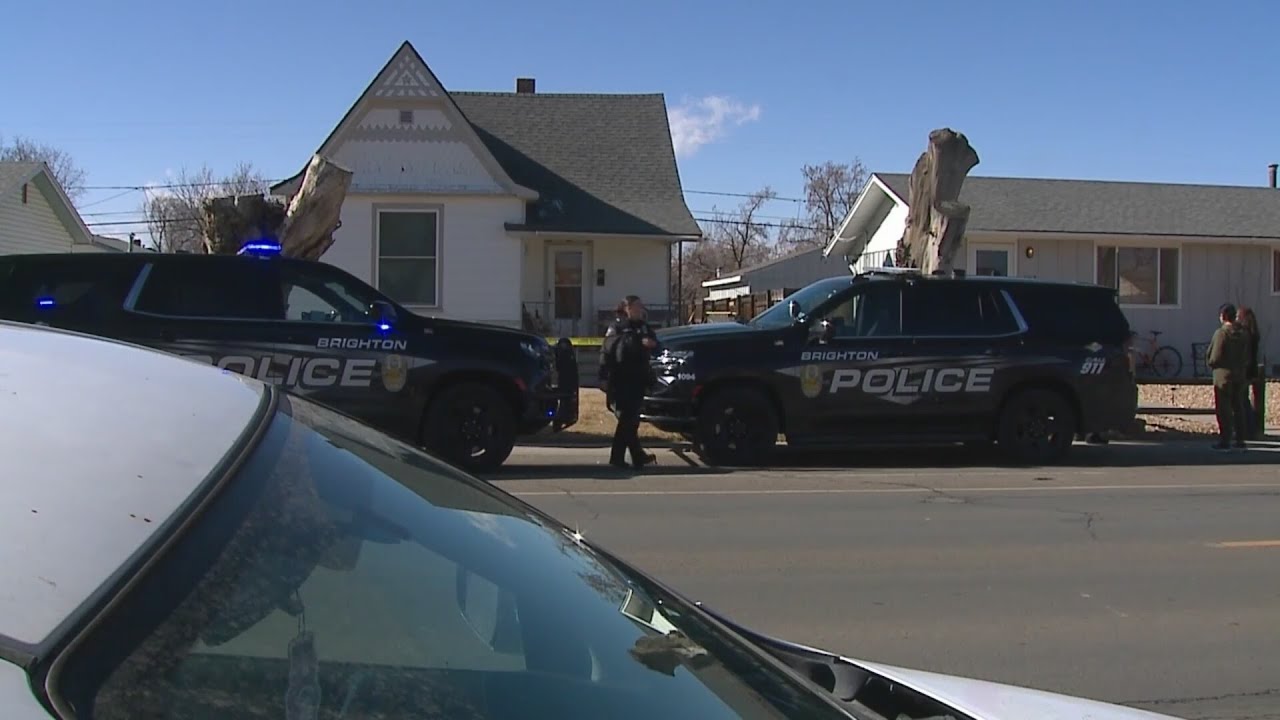 'Crime spree' leads to shootout with police in Brighton
