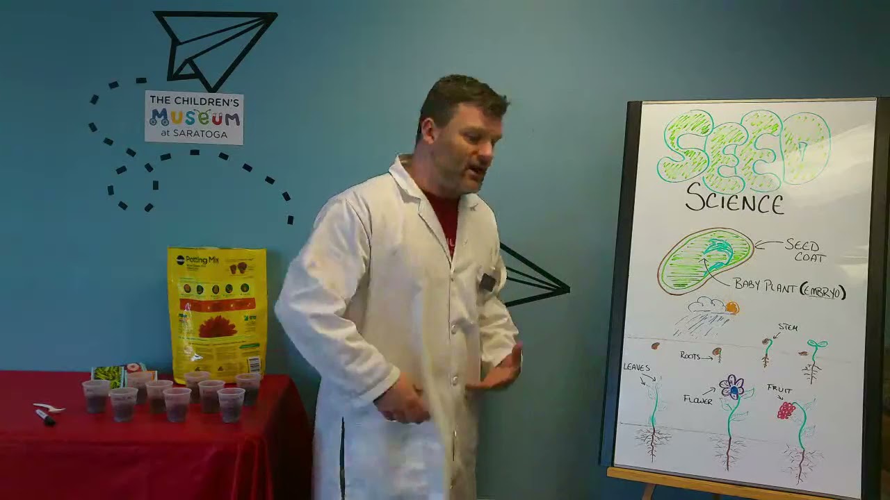 Science Explorers - Seed Science