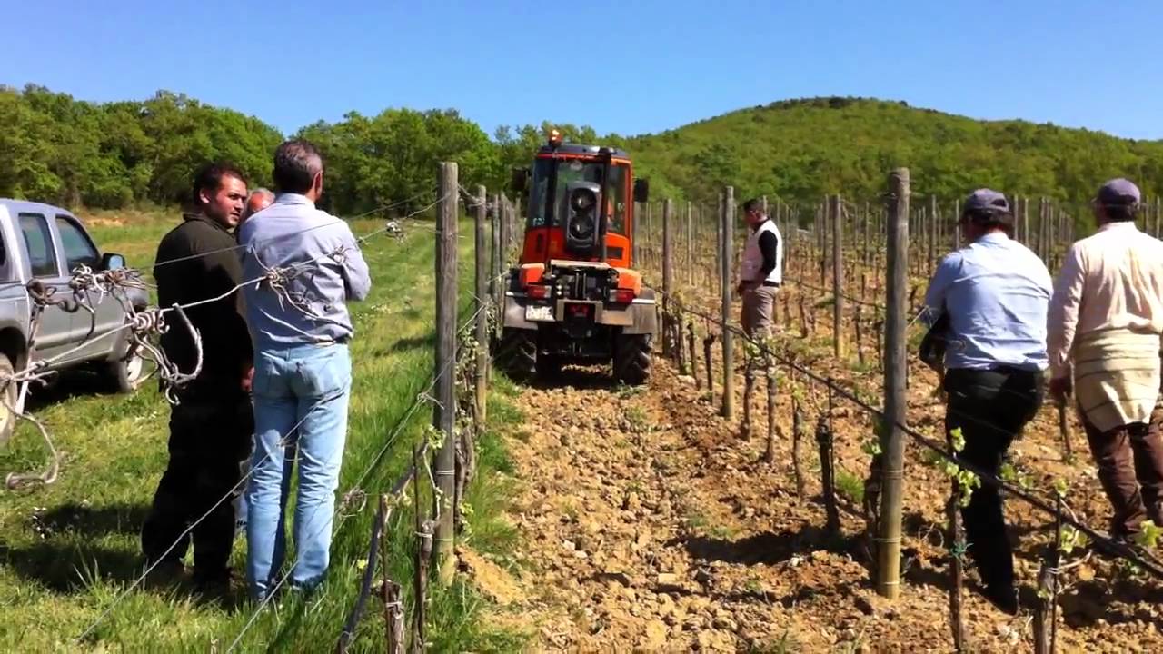 M 480 Holder portattrezzi multiuso universale da vigneto, Petra Wines, con Braun lama interfilare