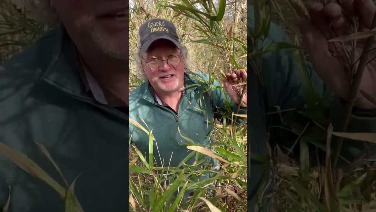 🧭 Schoolcraft Adventure 🐴 into an Ozark County Swamp 🏞️
