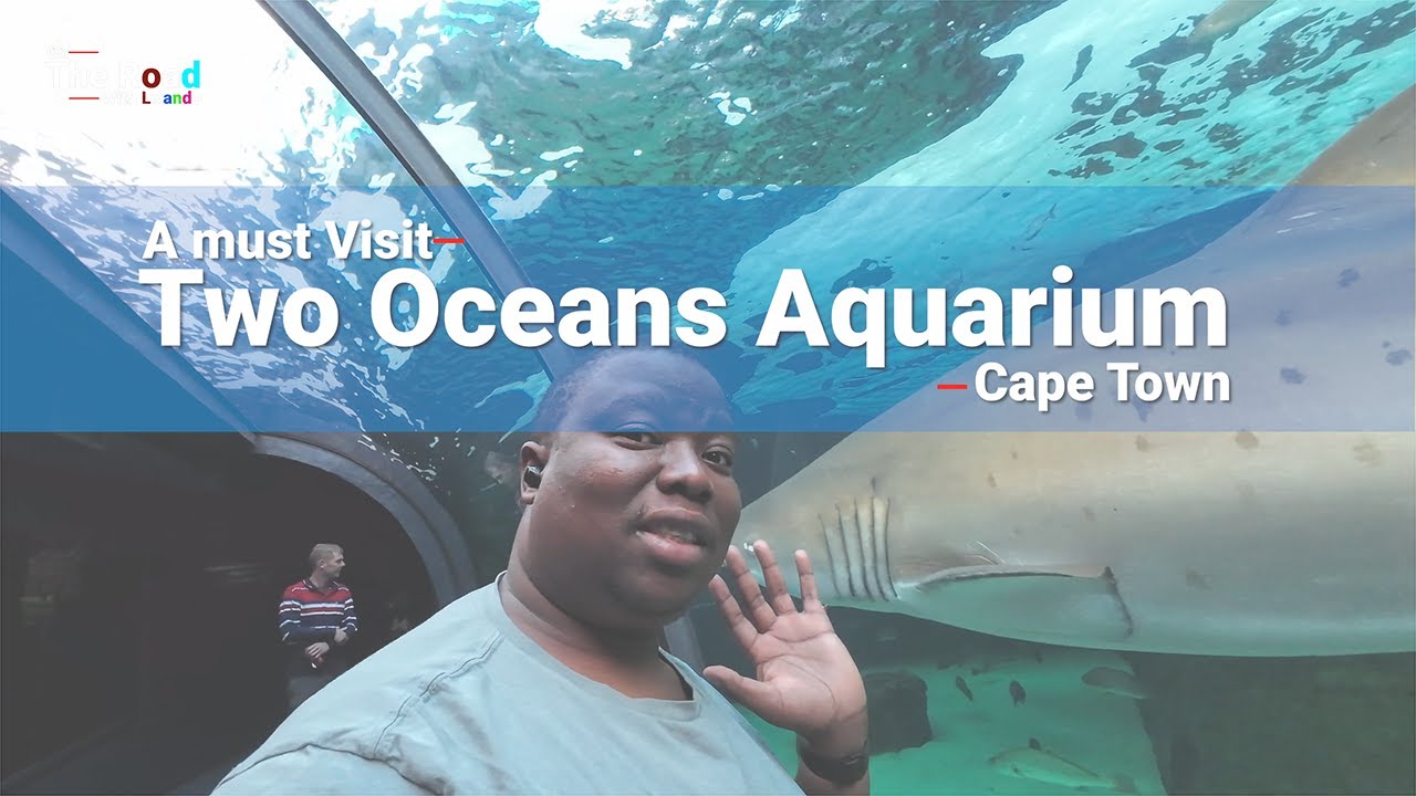 Visit Cape Town's Two Oceans Aquarium