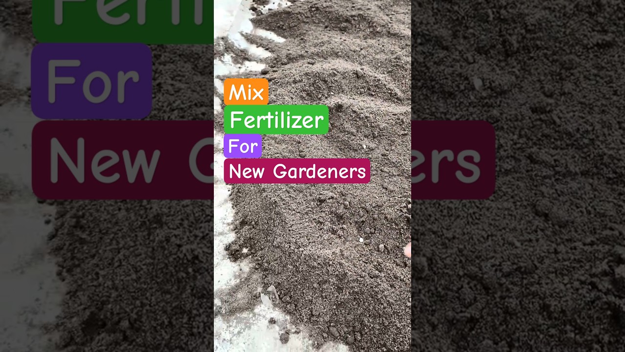 New Gardener? Use This DIY Mix Fertilizer in All Plants!  #shorts #fertilizer