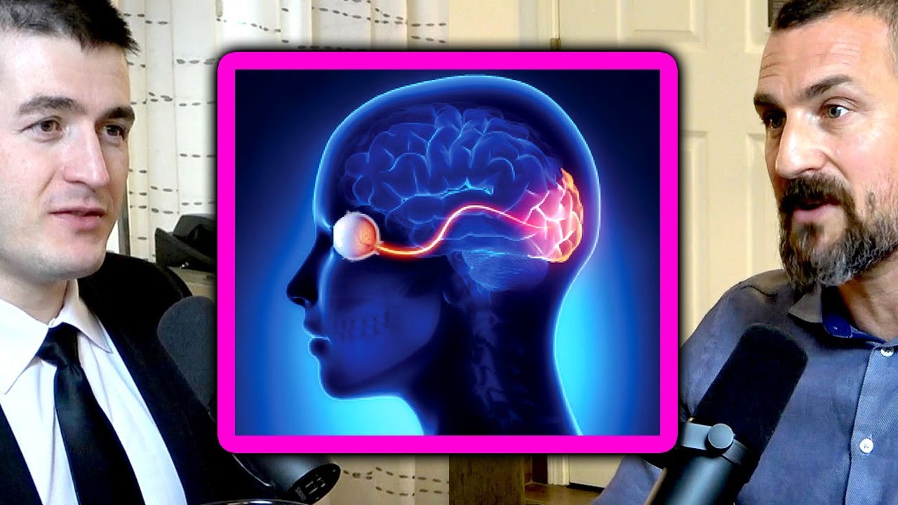 Science of Human Vision | Andrew Huberman and Lex Fridman