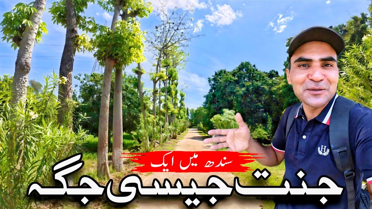 Real Paradise of Sindh | MH Panhwar Farm Khesana Mori