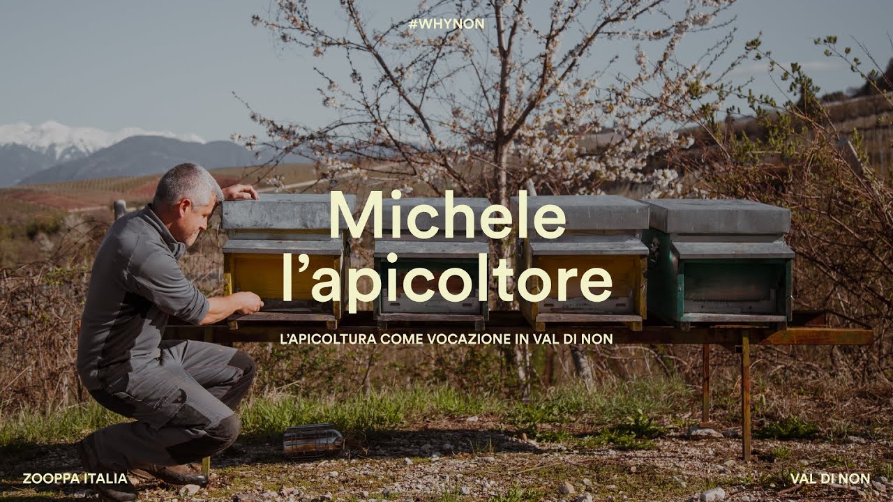 Michele, apicoltore per vocazione in Val di Non