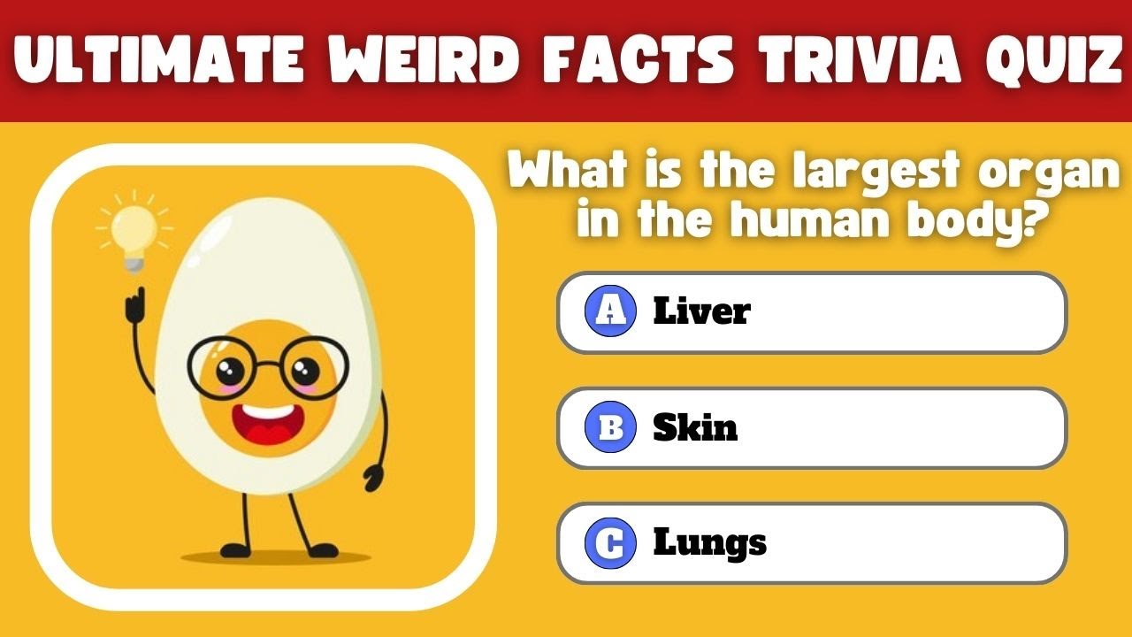 How Much Weird Trivia Do You REALLY Know? | Strange Facts Quiz