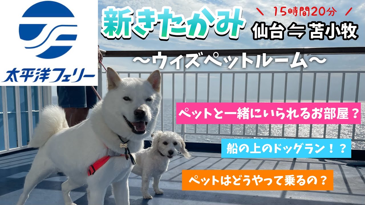 【太平洋フェリー新きたかみ⛴】ウィズペットルームどんな感じ？船の上のドッグラン❗️❓【愛犬2匹と夏の北海道旅行２０２１】
