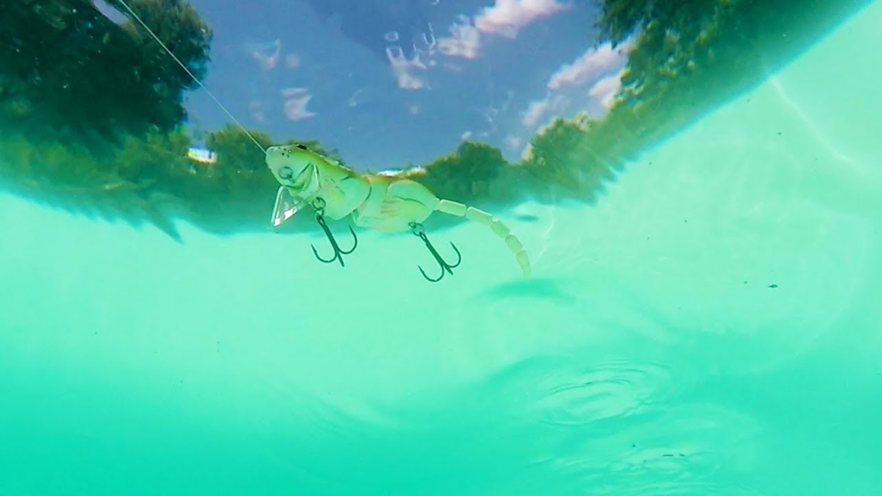 cheap KNOCKOFF lures vs expensive lures UNDERWATER