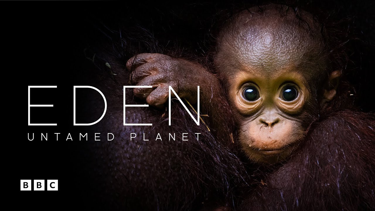Eden: Untamed Planet | BBC Select
