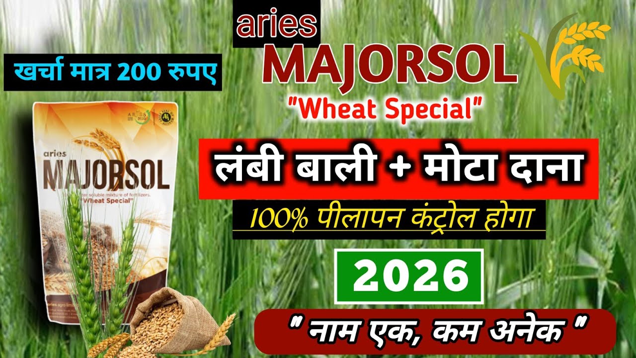 गेहूं की हर समस्या का भरोसेमंद रामबाण समाधान | Aries Majorsol Wheat Special | ज्यादा पैदावार पक्की