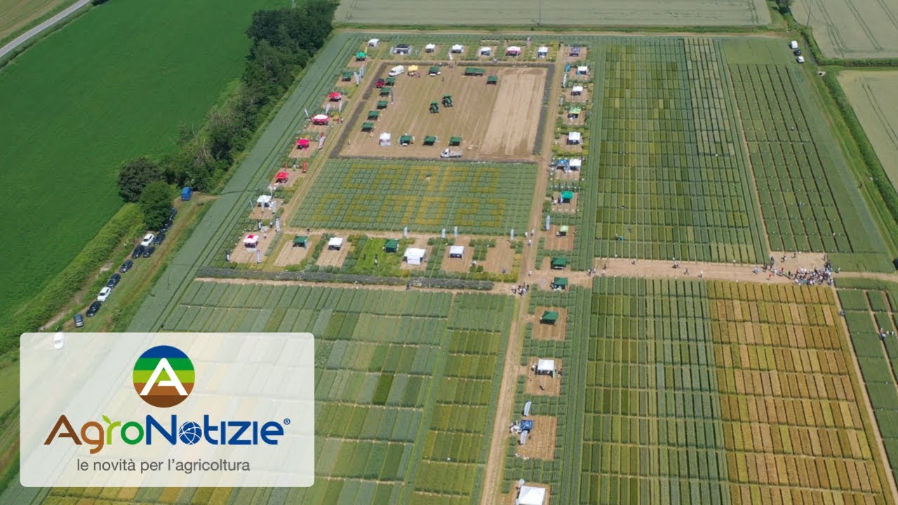 Difesa, biostimolanti e genetica al Campo Demo Cereali 2023