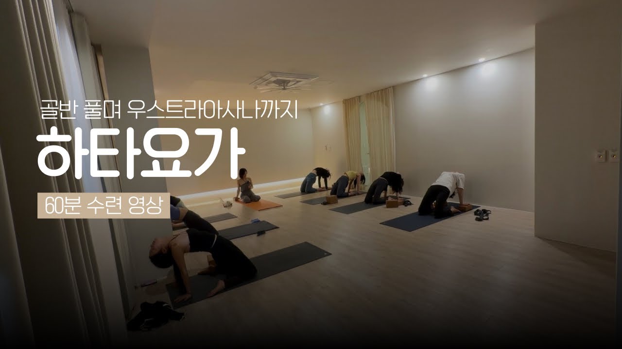 골반 풀면서 후굴까지 하타수련 | 60분수련 영상 | 요가하루