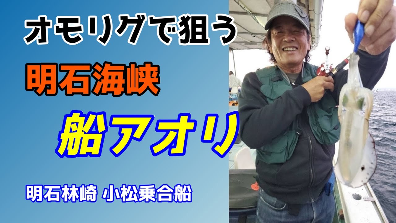 【船アオリ】シーズン序盤の明石海峡 船アオリ