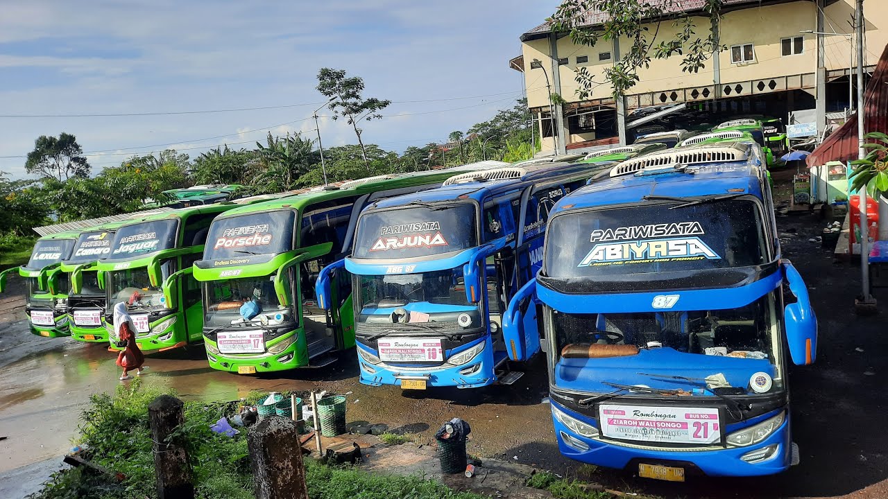 KEDATANGAN 153 BUS DARI SITU BONDO JAWA TIMUR