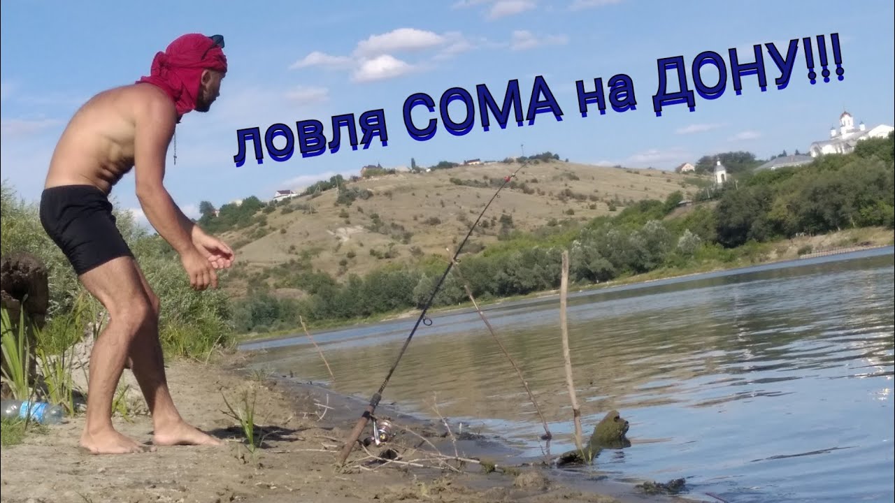 Ловля сома на червя с берега, рыбалка на сома 2020 на Дону, ловля сома на закидушку!