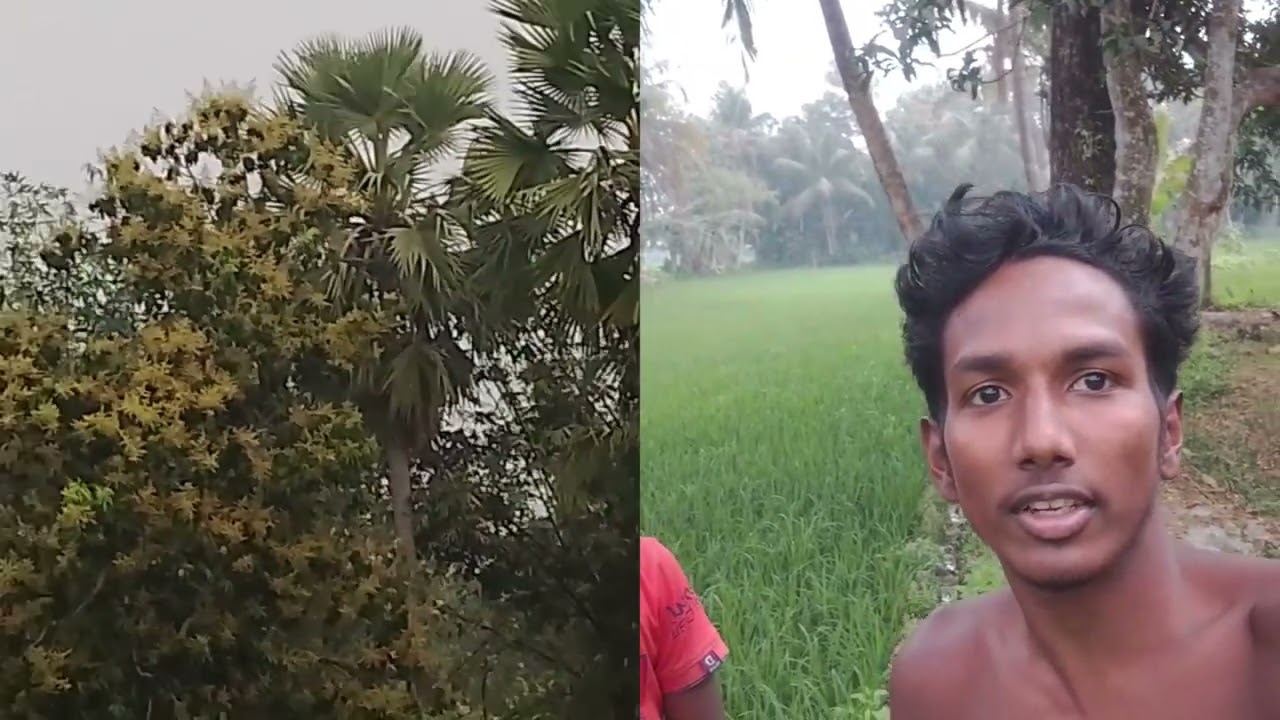 Block video 