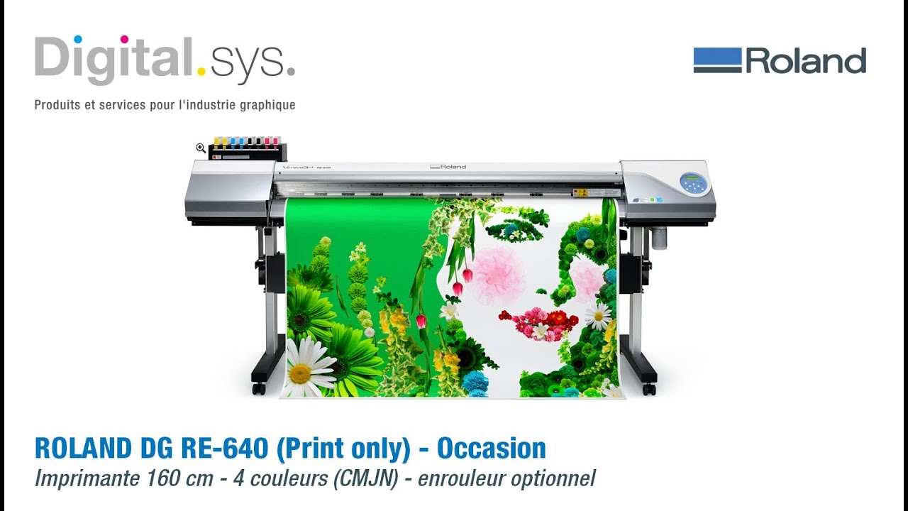 Roland RE-640 - Imprimante Eco-Solvant occasion 160 cm 2xCMYK
