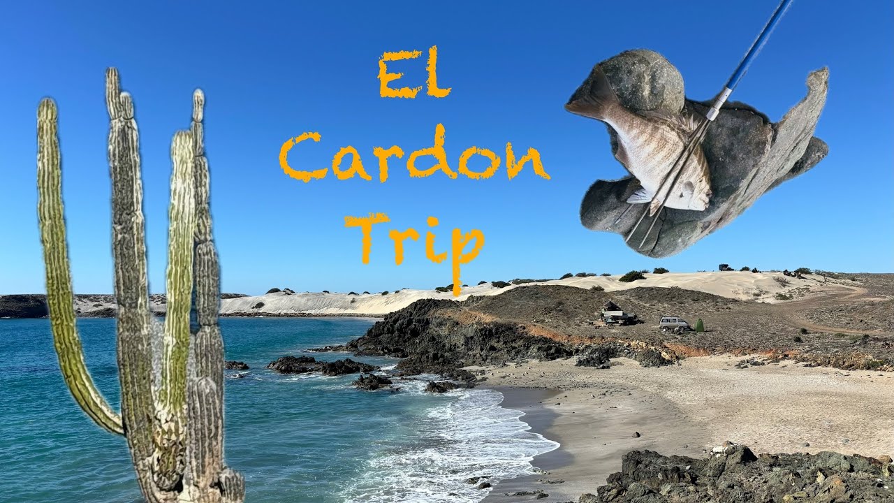Baja Surf Trip December
