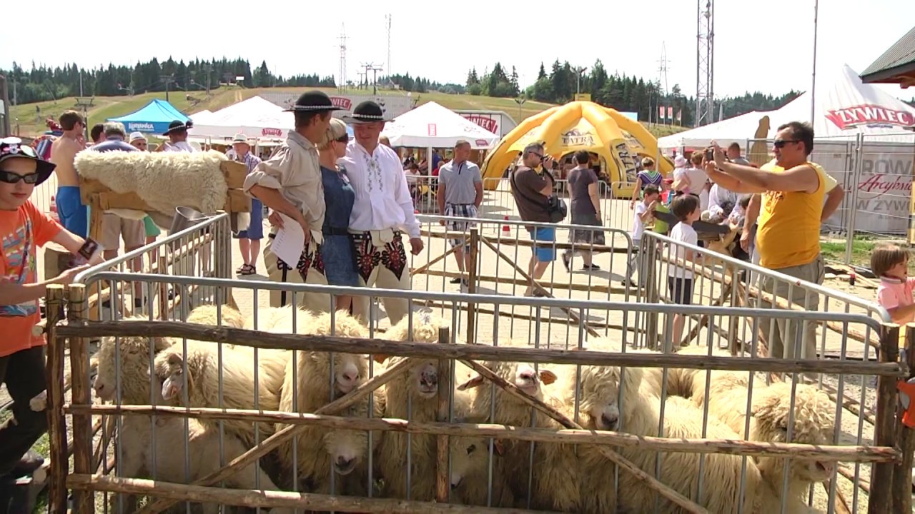 Podróże z Góralem (sezon 2) #9 - Białka Tatrzańska