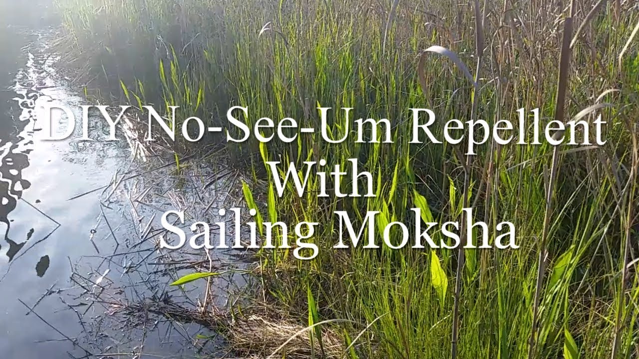 DIY No-See-Um Repellent That Works!!!