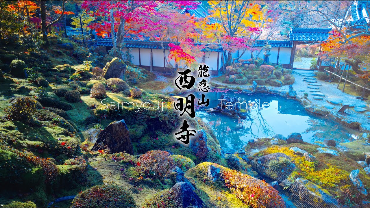 苔と紅葉が語る 西明寺の秋 /【MotionCam Pro】(滋賀県)