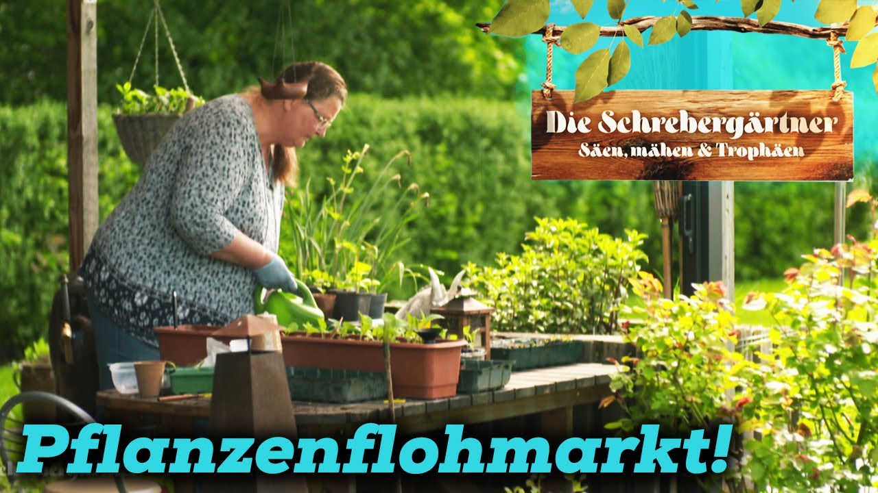Pflanzen retten und Freude bringen! 🌱 Pflanzenflohmarkt | Die Schrebergärtner | Kabel Eins
