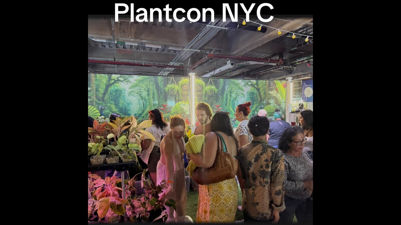 NYC Plantcon Haul!