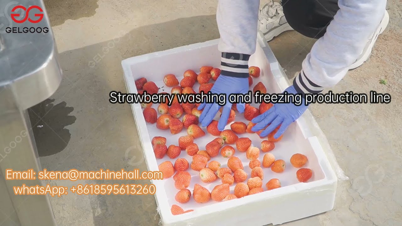 Industrial Frozen Strawberry Processing Line Machinery