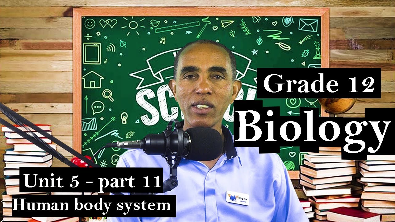 Grade 12 Biology Unit 5 part-11 Human body system