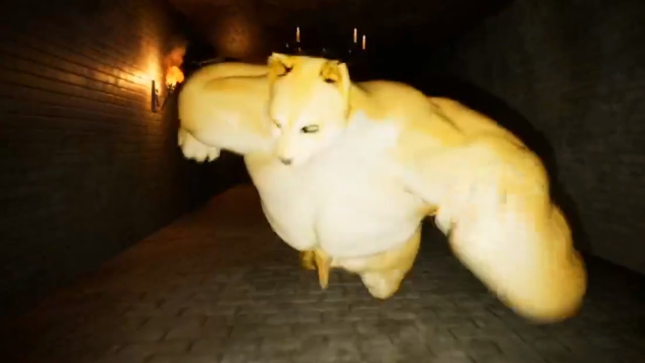 ムキムキの犬から全力で逃げるホラーゲーム【Doge Dungeon】