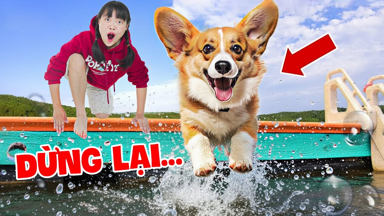 Hà Sam Một Ngày Huấn Luyện Thú Cưng Và Chăm Sóc Các Thú Cưng Trong Nhà
